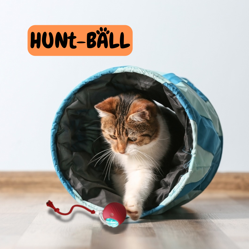 HuntBall™ – Pelota Inteligente con Movimiento y Luces LED