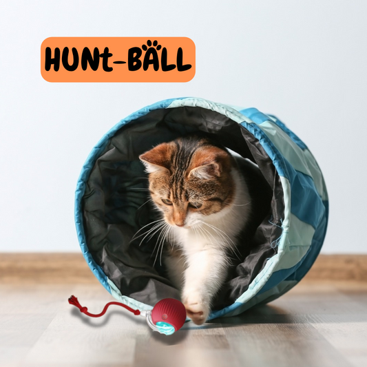 HuntBall™ – Pelota Inteligente con Movimiento y Luces LED